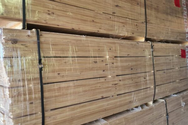 WhatsApp Image 2024-11-02 at 11.23.21