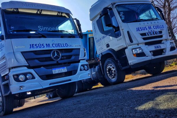 WhatsApp Image 2024-11-02 at 11.23.22 - copia