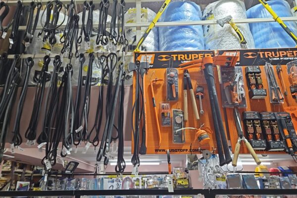 WhatsApp Image 2024-11-04 at 15.51.43